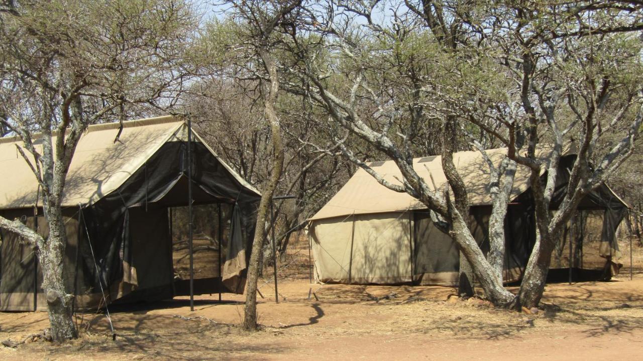 Zebra Nature Reserve Cullinan Ngoại thất bức ảnh